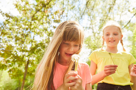 Smiling elementary girl blowing dandelion by friend in park during summer vacationの写真素材