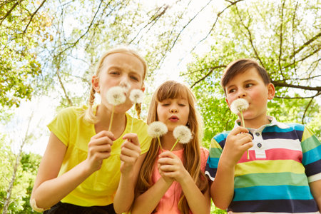 Multiracial children blowing dandelion standing in park while spending leisure time during summerの写真素材