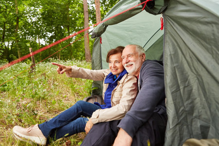 Happy senior man pointing while sitting with man in camping tent at forest during vacationの写真素材