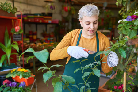 Young woman gardener or florist pruning a houseplant in the nurseryの写真素材