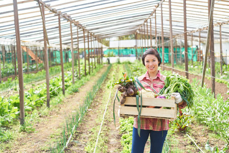 Portrait of smiling mature farmer holding organic vegetables in crate at farmの写真素材