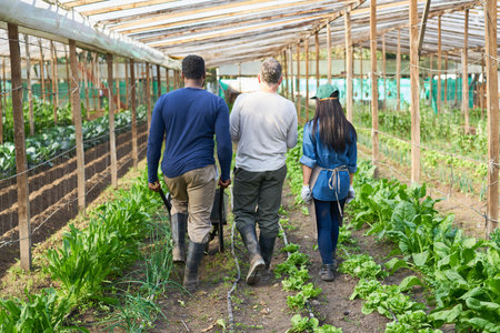 Rear view of farmer's team walking together in organic farmの写真素材