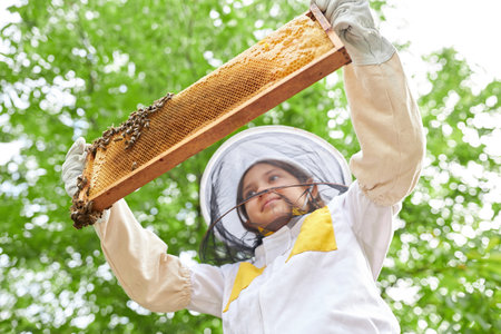 Low angle view of girl examining honeycomb frame with honey bees while standing at apiary garden