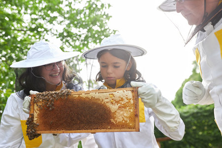Girl learning about apiculture while examining honeycomb frame with senior beekeepers at farmの写真素材