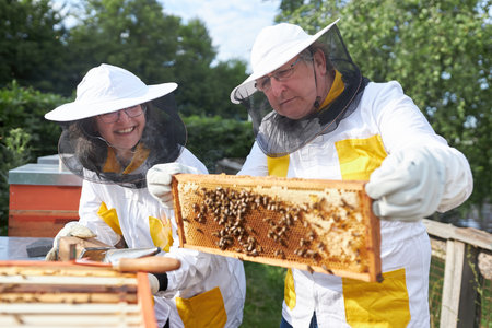 Happy senior beekeeping couple examining honeycomb frame at apiary gardenの写真素材