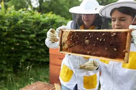 Senior female apiculturist and girl holding beeswax frame at apiary gardenの写真素材