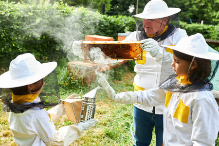 Senior male apiculturist holding beeswax frame near girls with smoker emitting smoke in apiary gardenの写真素材