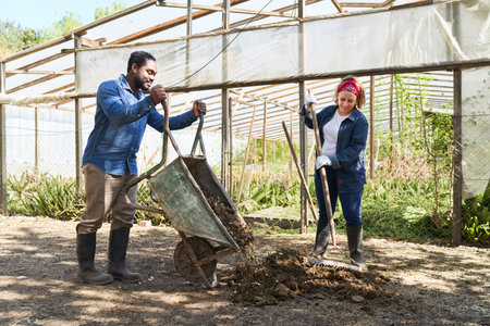 Male and female farmers with wheelbarrow and rake working together at greenhouse