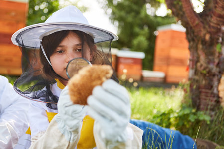 Girl with magnifying glass examining honeycomb at apiary garden in summerの写真素材
