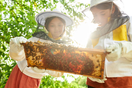 Low angle view of girls learning and analyzing beeswax frame at apiary garden
