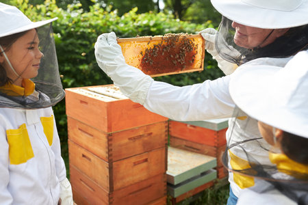 Senior male apiculturist teaching about honeycomb frame to girls at apiary garden