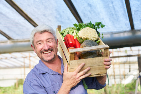 Portrait of happy male farmer carrying crate of organic vegetables in greenhouseの写真素材