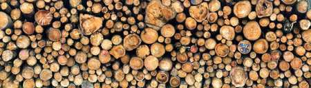 Wide-angle capture of cut tree logs stacked together, showing radial patterns in a warm and natural...