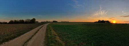 Serene sunset landscape showcasing a rural panorama with fields, trees, and a winding path.