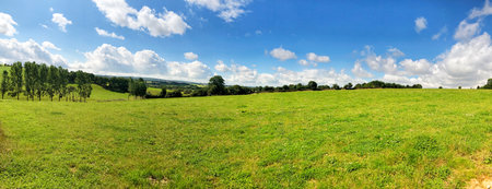 A wide panoramic landscape featuring green rolling fields, scattered trees, and a beautiful blue sky with fluffy white clouds, presenting a serene and natural countryside atmosphere.の写真素材