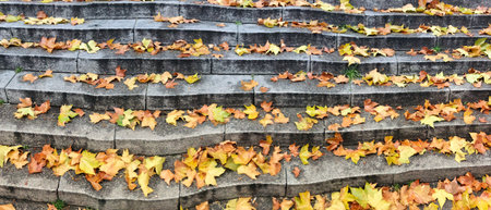 A stunning panoramic shot capturing golden autumn leaves strewn across a stone staircase,...