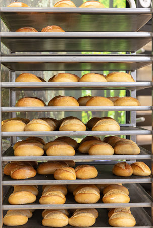 BERLIN, GERMANY, January 16th 2026: Photo of Fresh bread rolls are displayed on metal shelves at the...
