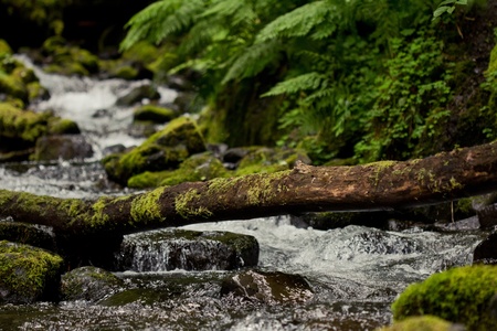 Eagle creek 2の写真素材