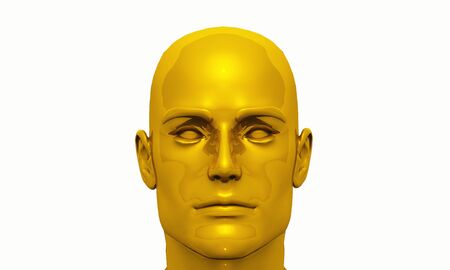 Male Golden Head の写真素材