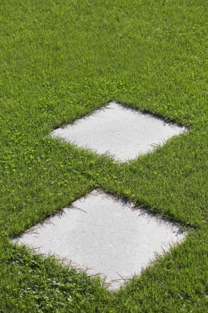 Background - The Way to Greenの写真素材