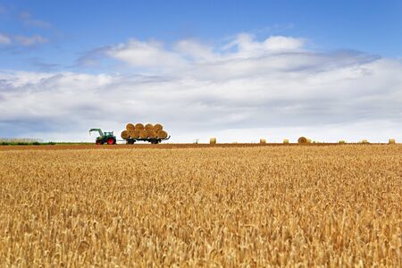 The farmer brings the pure hay bales