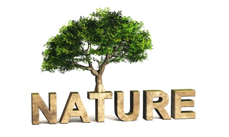 3D text with green tree NATUREの写真素材