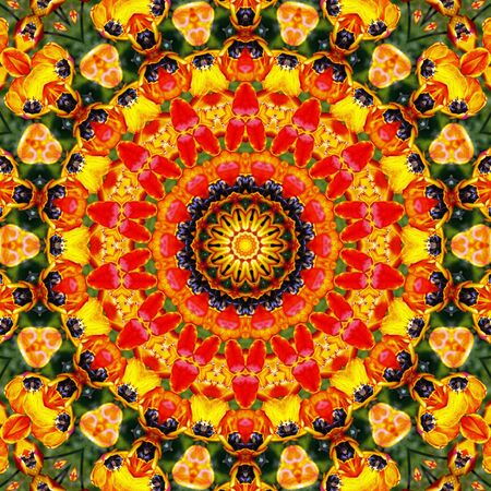 Flower Mandala の写真素材