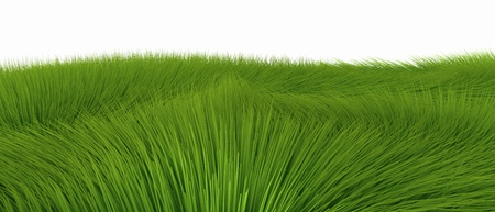 Green coat over a white background 01の写真素材