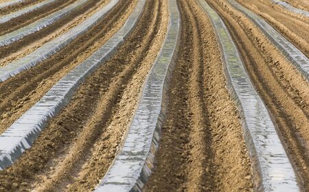  tracks of agriculture