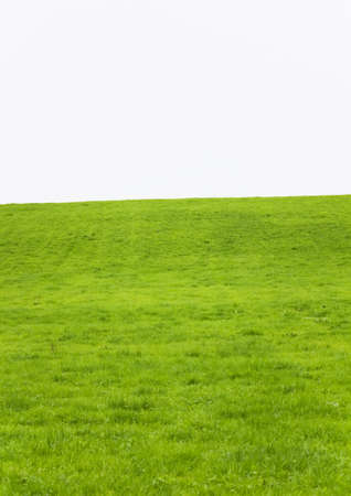 Green grass hills exempted