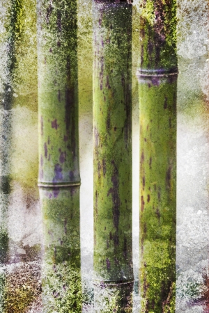 Bamboo grunge backdropの写真素材