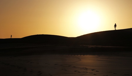 Dune walkersの写真素材