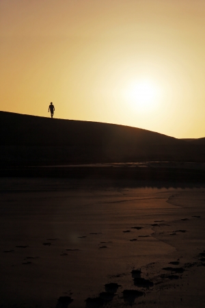 Dune walkerの写真素材