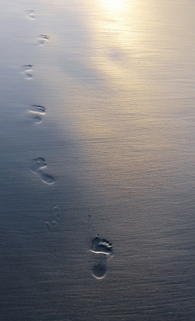 Footprints in wet sandの写真素材