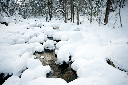 Winter forest river under the snowの写真素材