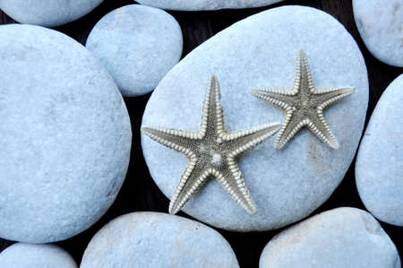 starfish and white stonesの写真素材