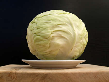 cabbage- like globeの写真素材