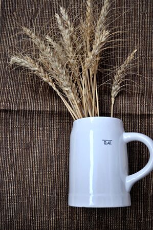 white beer mug and ears of barleyの写真素材