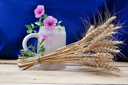 ear of barley and white pitcher on blue background
