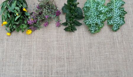 Wild spring herbs on a burlapの写真素材