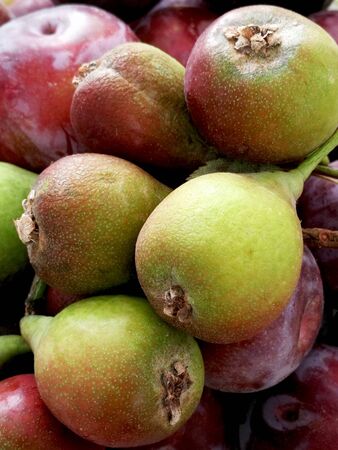 Red plums and pears of St John