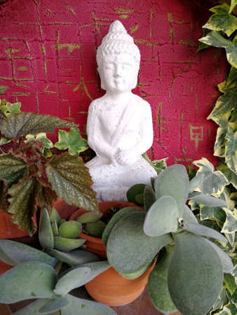 Lord Buddhaの写真素材