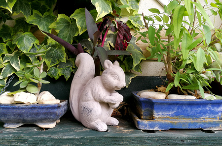 A corner in the gardenの写真素材