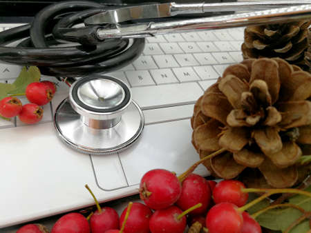 medical christmas cards with berries and pine conesの写真素材