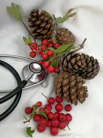 medical christmas cards with berries and pine conesの写真素材