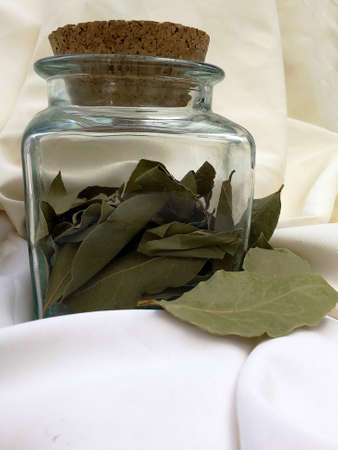 jar with laurel on white cloth backgroundの写真素材