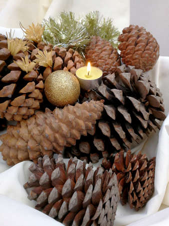 Christmas and New Year's card with pineapples and berries