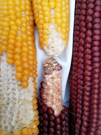 yellow and red corn on white cloth backgroundの写真素材