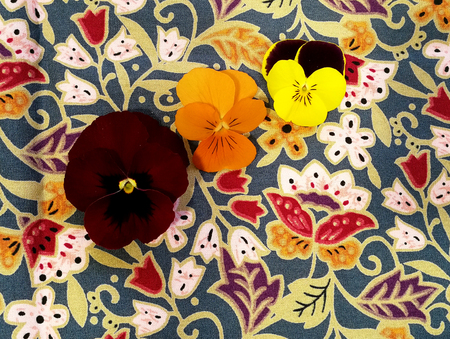 Viola flowers camouflaged on a tableclothの写真素材