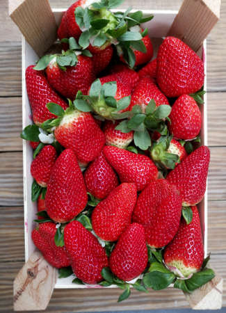 fresh strawberries on boxの写真素材